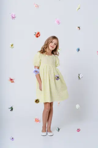 Mingnelin seersucker dress