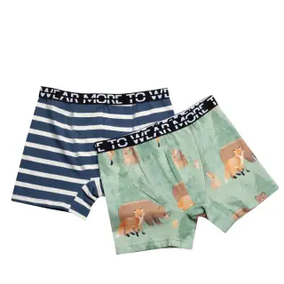 Motion's boxers 2-pack