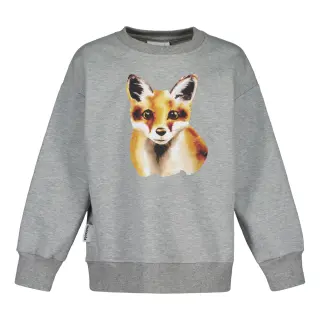 Metsola Fox collegepaita, Cloudy