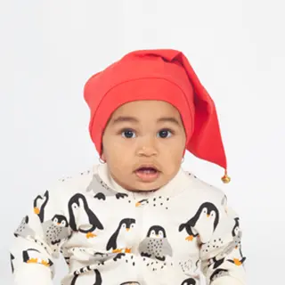 Motion's christmas hat