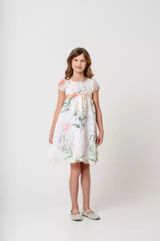 Mingnelin chiffon dress