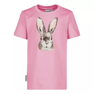 Metsola Bunny t-paita, Candy