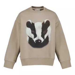 Metsola Badger Placement collegepaita, Stormy