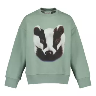 Metsola Badger Placement collegepaita, Dusty Green