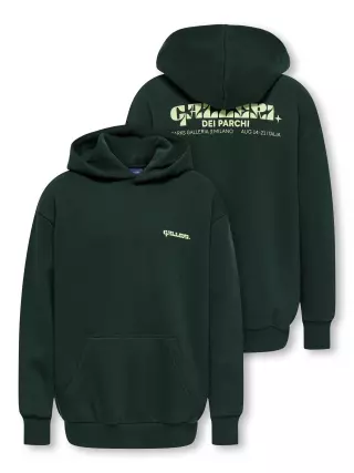 Only & Sons Junior Ceres Milano hoodie, Pine Grove